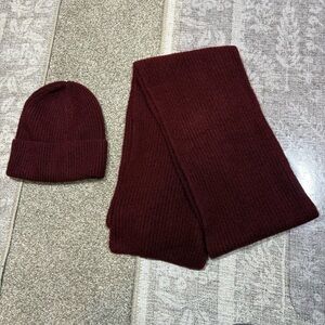J. Crew Matching Ribbed Beanie and Scarf Set